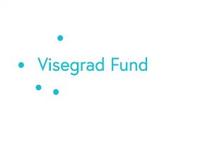 Zobrazit: Visegrad 4 Ukrajina – mimořádná výzva pro malé granty