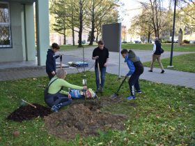 Zobrazit: Ostravské školy získají nové stromy!