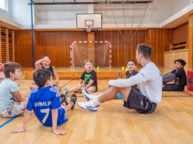 Zobrazit: (R)evoluce pohybu – pilotní ročník