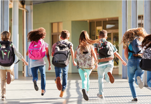 Zobrazit: Akční plán vzdělávaní pro rok 2026