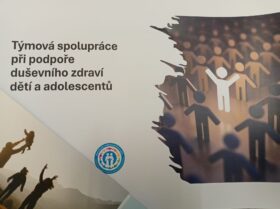 Zobrazit: Metodické setkání sociálních pedagogů přineslo inspiraci pro spolupráci se zdravotnickým sektorem