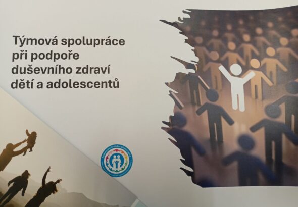 Zobrazit: Metodické setkání sociálních pedagogů přineslo inspiraci pro spolupráci se zdravotnickým sektorem