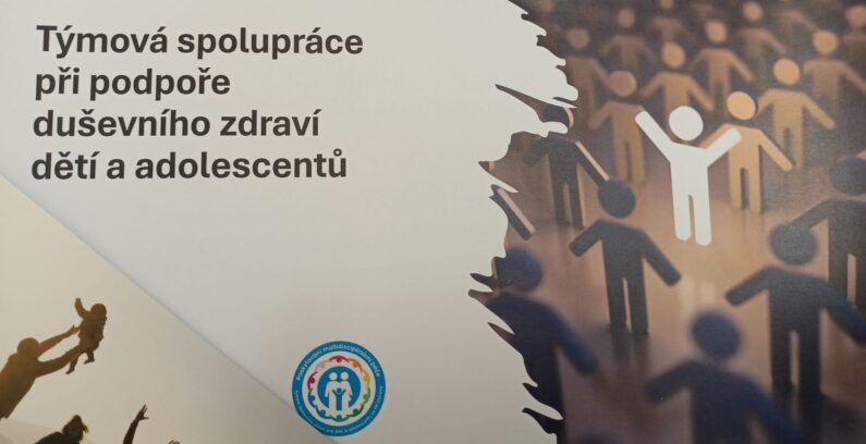 Zobrazit: Metodické setkání sociálních pedagogů přineslo inspiraci pro spolupráci se zdravotnickým sektorem